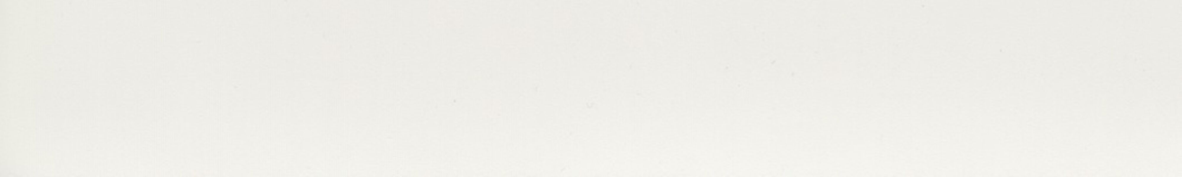 skai® colore classico zinkweiss          0,40 1420