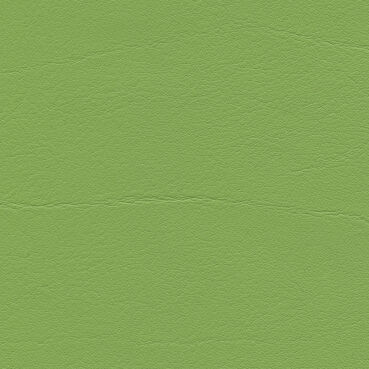 skai® Tundra  apfelgrün